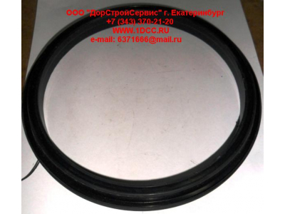 Сальник 165х195х16 балансира DF DONG FENG (ДОНГ ФЕНГ) 29ZB3-04084  для самосвала фото 1 Новый Уренгой